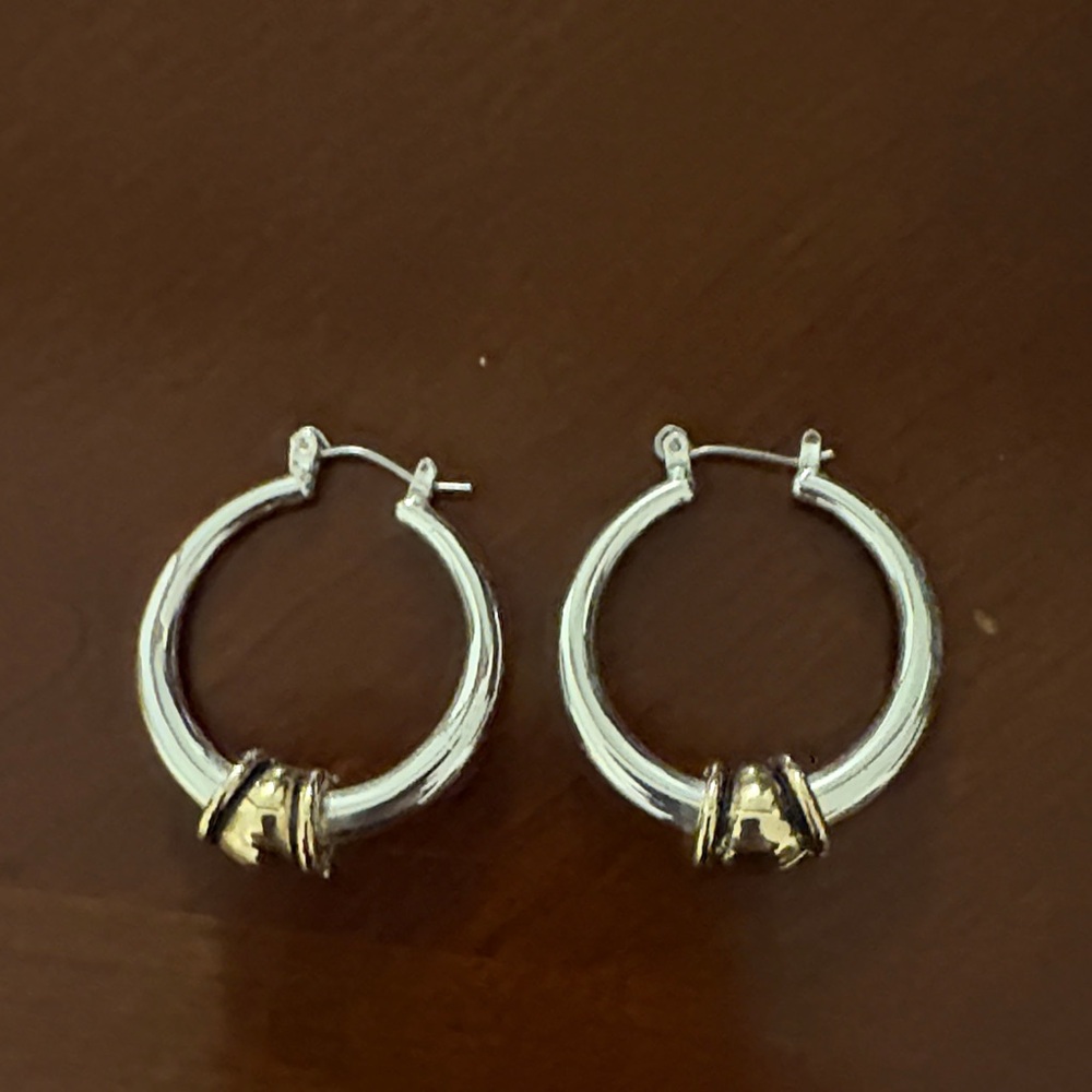 Elegant Silver and Gold Hoop Earrings